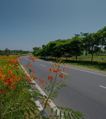 Big-tiles-on-the-highway